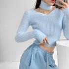 Slim-fit Furry-knit Cropped Sweater With Choker