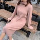 Turtleneck  Long-sleeve Midi Knit Dress