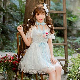 Floral Embroidered Short-sleeve A-line Lace Dress