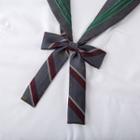 Embroidered Ribbon Bow Tie