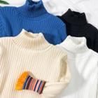 Brushed Fleece-lined Turtleneck Knit Sweater