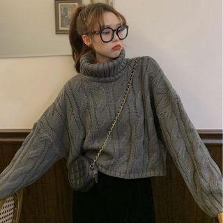 Long-sleeve Turtle Neck Cable Knit Sweater