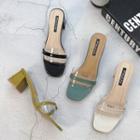 Transparent Chunky-heel Slide Sandals