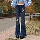 Low Waist Distressed Boot-cut Jeans