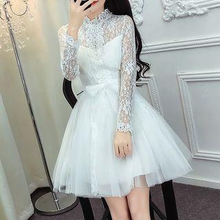 Lace Panel A-line Tulle Dress
