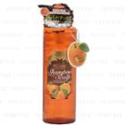 Cosmetex Roland - Recole Non-silicon Scalp Oil Clear Shampoo (orange) 500ml