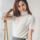 Turtle-neck Short-sleeve Knit Top