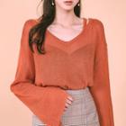 Cutout V-neck Sheer Knit Top