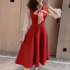 Long-sleeve Mesh Tie-neck A-line Midi Dress