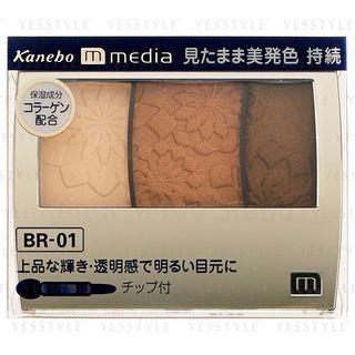 Kanebo - Media Grade Color Eyeshadow (#br-01) 3.5g