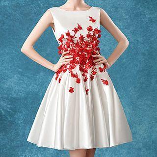 Contrast Color Lace Panel Sleeveless A-line Cocktail Dress