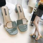 Buckled Clear Block Heel Sandals