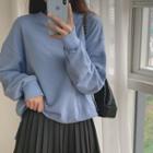 Loose-fit Plain Sweatshirt Sky Blue - One Size