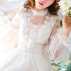 Frill Collar Flower Applique Long Sleeve Lace Dress