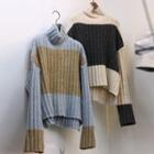 Turtleneck Colored Panel Knit Top
