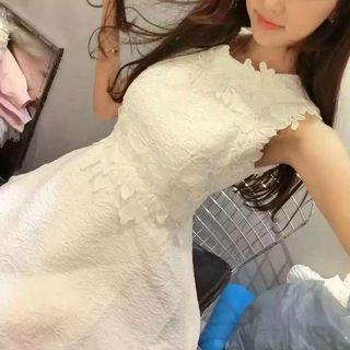 Lace Slim-fit Sleeveless A-line Dress