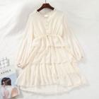 Long-sleeve V-neck Chiffon Layered A-line Dress