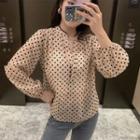 V-neck Dotted Long Sleeve Blouse