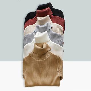 Plain Turtleneck Ribbed Long Sleeve Knit Top