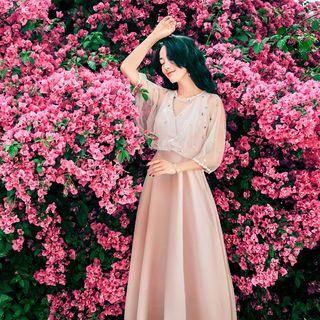 Mesh Panel Elbow Sleeve A-line Midi Dress