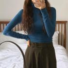 Long-sleeve Turtleneck Fitted Top