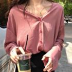 Plain Long-sleeve V-neck Blouse