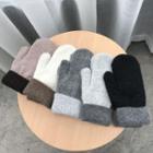 Color Panel Knit Mittens
