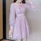 Lace-sleeve A-line Fringe Dress