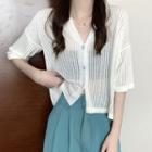Short-sleeve Plain Perforated Knit Blouse