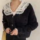 Lace Blouse / Furry Cardigan