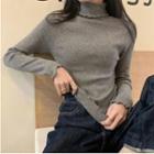 Long-sleeve Turtleneck Frilled Knit Top