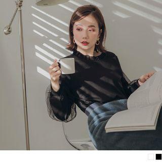 Mesh Panel Puff Sleeve Top