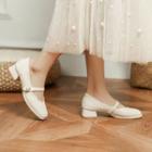 Chunky Heel Mary Janes Shoes
