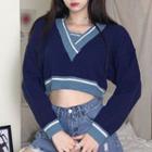 Color-block V-neck Long-sleeve Sweater Sapphire Blue - One Size