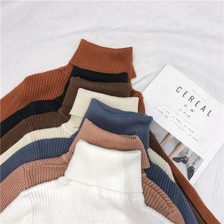 Plain Ribbed Long-sleeve Turtleneck