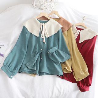 Peter Pan-collar Color Block Long-sleeve Blouse