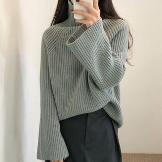 Turtleneck Plain Ribbed Sweater