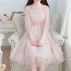 Long-sleeve Mesh Gatherbed Waist Dress