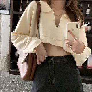 Plain V-neck Long-sleeve Crop Sweater