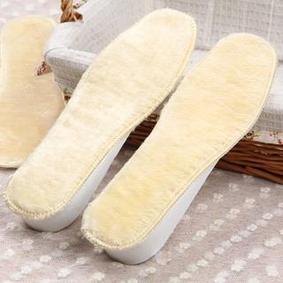 Shoe Insole