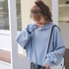 Plain Hooded Long-sleeve Sweatshirt Airy Blue - One Size