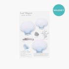 Shell Magnet Set