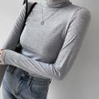 Set Of 2: Basic Turtle-neck Top