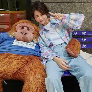 Striped Plaid Long-sleeve Shirt As Shown In Figure - One Size