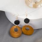 Round Wooden Drop Earring 1 Pair - Er1551 - Brown - One Size