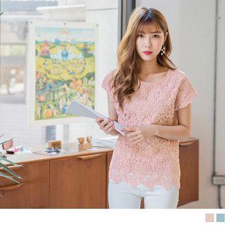 Cap Sleeve Lace Panel Top