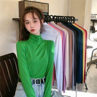 Long-sleeve Turtle Neck Plain Top