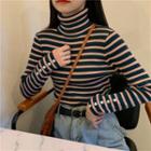 Long-sleeve Turtle Neck Striped Knit Top