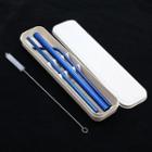 Set: Stainless Steel Drinking Straw + Cleaning Brush + Case