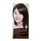 The Face Shop - Stylist Silky Hair Color Cream (#5n Natural Brown) 130ml